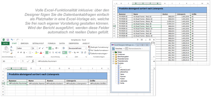 Excel-Integration